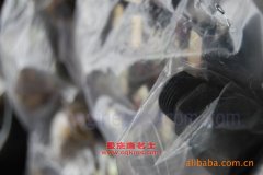 豪特力達(dá)BGJ5110GXWA吸污車用的康明斯EQB160-20發(fā)動機的配件及維修